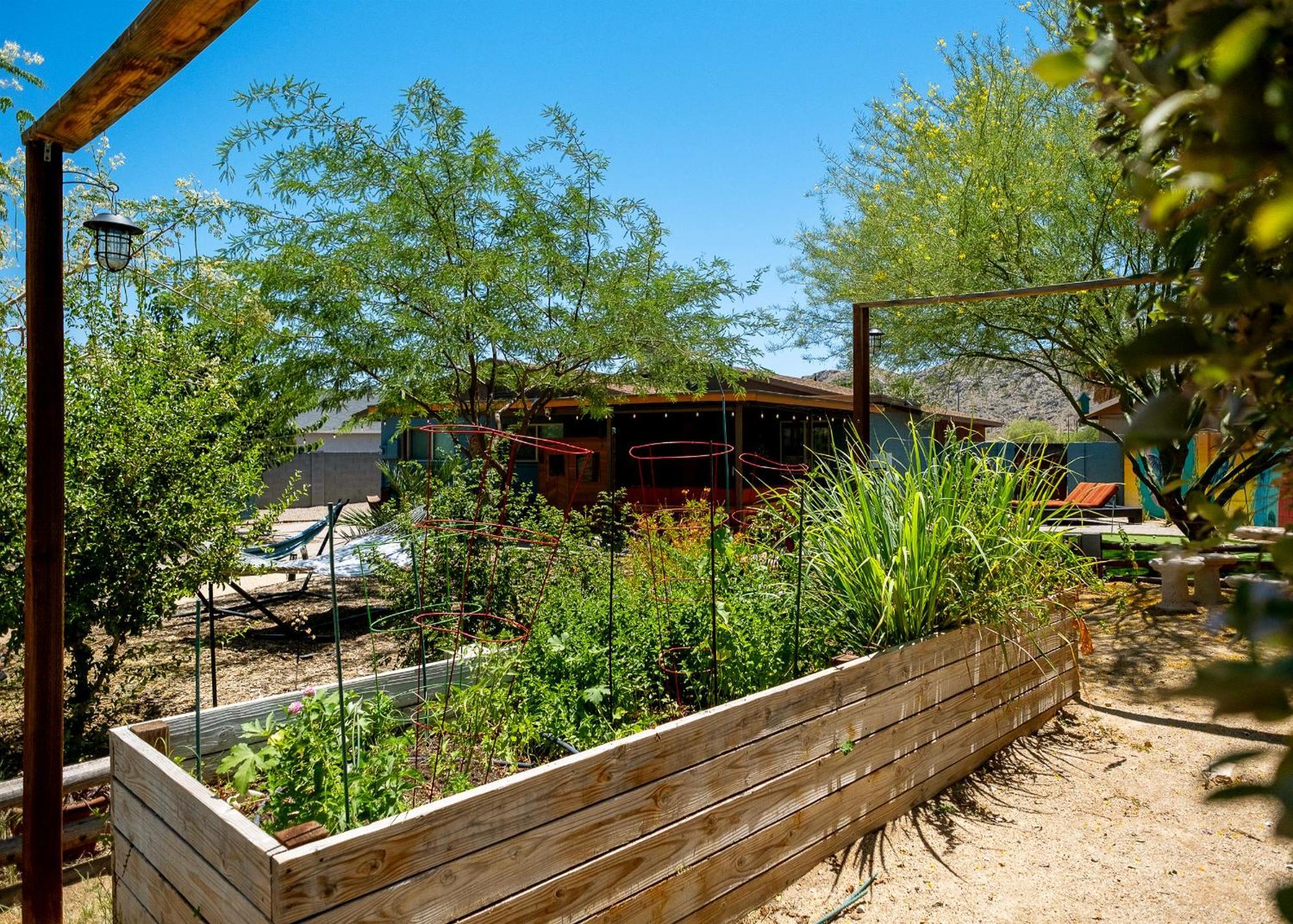 פיניקס The Hummingbird House, Sauna & Mountain Views! מראה חיצוני תמונה